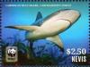 Colnect-4412-963-Caribbean-Reef-Shark-Carcharhinus-perezi.jpg