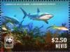 Colnect-4412-964-Caribbean-Reef-Shark-Carcharhinus-perezi.jpg