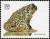 Colnect-5106-717-Plains-Spadefoot-Scaphiopus-bombifrons.jpg