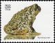Colnect-5106-717-Plains-Spadefoot-Scaphiopus-bombifrons.jpg