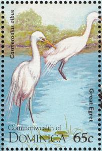Colnect-1748-093-Great-Egret-Casmerodius-alba.jpg