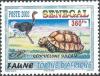 Colnect-1618-838-Ostrich-Struthio-camelus-African-Spurred-Tortoise-Geoche.jpg