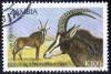 Colnect-864-863-Sable-Antelope-Hippotragus-niger.jpg