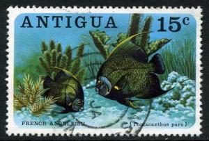 Colnect-859-181-French-Angelfish-Pomacanthus-paru-.jpg