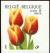 Colnect-5720-984-Tulip-Triumph--quot-Kees-Nelis-quot--Selfadh-Right--Top-imperforate.jpg