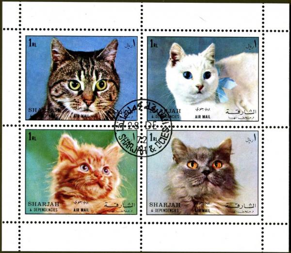 Colnect-2232-474-Cats-Felis-silvestris-catus.jpg