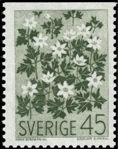 Colnect-4269-956-Wood-anemone-Anemone-nemorosa.jpg