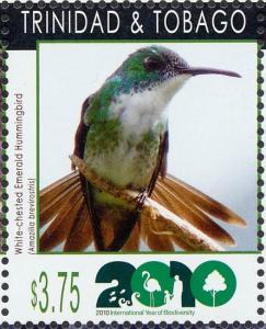 Colnect-2134-823-White-chested-Emerald-Amazilia-brevirostris.jpg