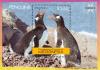 Colnect-1620-644-Gentoo-Penguin-Pygoscelis-papua.jpg