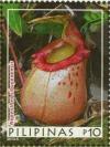 Colnect-2850-355-Nepenthes-sibuyanensis.jpg