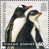 Colnect-2887-991-Gentoo-Penguin-Pygoscelis-papua.jpg