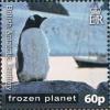 Colnect-2888-034-Gentoo-Penguin-Pygoscelis-papua.jpg