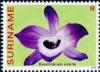 Colnect-4220-898-Dendrobium-nobile.jpg