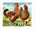 Colnect-1418-684-Blomme-Chicken-Gallus-gallus-domesticus.jpg