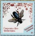Colnect-3276-752-Eastern-Carpenter-Bee-Xylocopa-virginica.jpg