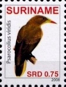 Colnect-2731-139-Green-Oropendola-Psarocolius-viridis.jpg