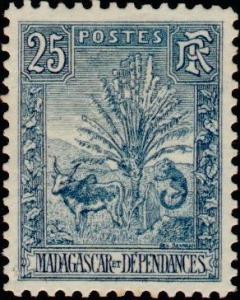Colnect-689-964-Traveller--s-Tree-Ravenala-madagascariensis-Zebu-Bos-prim.jpg