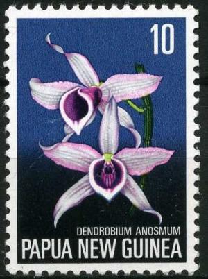 Colnect-1401-695-Dendrobium-anosmum.jpg