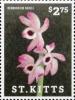 Colnect-6314-286-Dendrobium-nobile.jpg