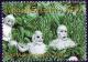 Colnect-3159-349-Mudmen-hiding-in-bushes.jpg