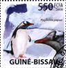 Colnect-3763-695-Gentoo-Penguin-Pygoscelis-papua.jpg