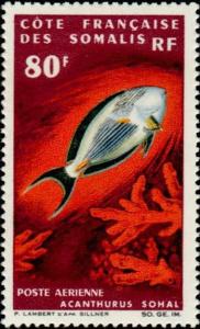 Colnect-806-427-Sohal-Surgeonfish-Acanthurus-sohal.jpg