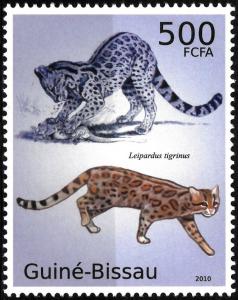 Colnect-5334-457-Leopardus-tigrinus.jpg