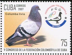 Colnect-2138-140-Rock-Pigeon-Columba-livia-Emblem.jpg