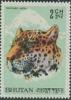 Colnect-866-506-Snow-Leopard-Panthera-uncia.jpg