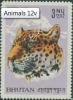 Colnect-874-608-Snow-Leopard-Panthera-uncia.jpg