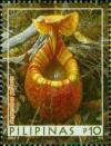 Colnect-2850-360-Nepenthes-peltata.jpg