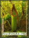 Colnect-2850-367-Nepenthes-truncata.jpg