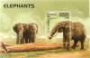 Colnect-532-943-African-Elephant-Loxodonta-africana.jpg