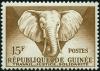 Colnect-537-245-African-Elephant-Loxodonta-africana.jpg