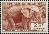 Colnect-537-247-African-Elephant-Loxodonta-africana.jpg