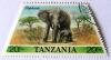 Colnect-540-049-African-Elephant-Loxodonta-africana.jpg
