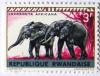 Colnect-542-132-African-Elephant-Loxodonta-africana.jpg