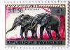 Colnect-542-133-African-Elephant-Loxodonta-africana.jpg