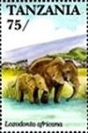 Colnect-5995-762-African-Elephant-Loxodonta-africana.jpg