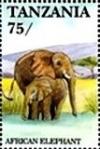 Colnect-5995-765-African-Elephant-Loxodonta-africana.jpg