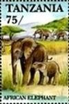 Colnect-5995-771-African-Elephant-Loxodonta-africana.jpg