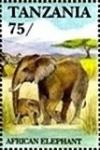 Colnect-5995-773-African-Elephant-Loxodonta-africana.jpg