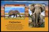 Colnect-5995-794-African-Elephant-Loxodonta-africana.jpg