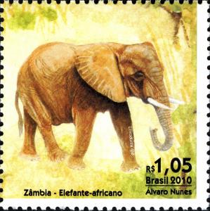 Colnect-747-215-African-Elephant-Loxodonta-africana.jpg