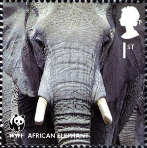 Colnect-911-029-African-Elephant-Loxodonta-africana.jpg