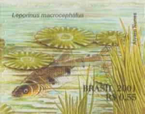 Colnect-4043-699-Fish-Leporinus-macrocephalus.jpg