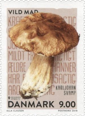 Colnect-5875-507-Cep-Boletus-edulis.jpg