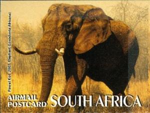 Colnect-6356-625-African-Elephant-Loxodonta-africana.jpg