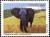 Colnect-468-608-African-Elephant-Loxodonta-africana.jpg