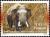 Colnect-550-651-Asian-Elephant-Elephas-maximus.jpg